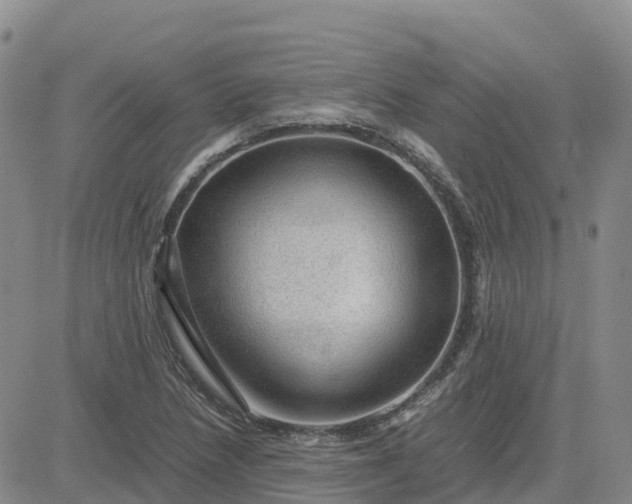 X0000083581218200702231647