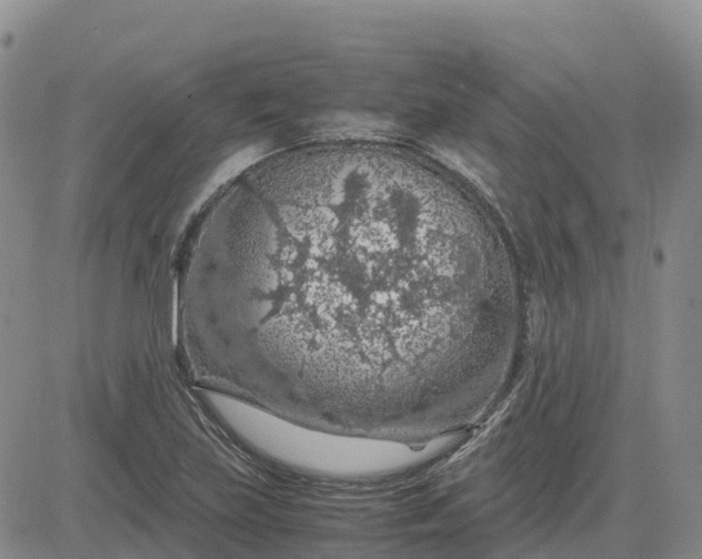 X0000083581219200702231647