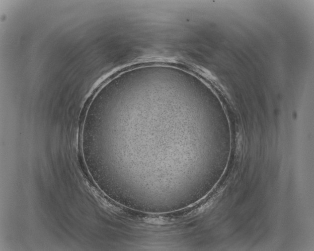 X0000083581220200702231647