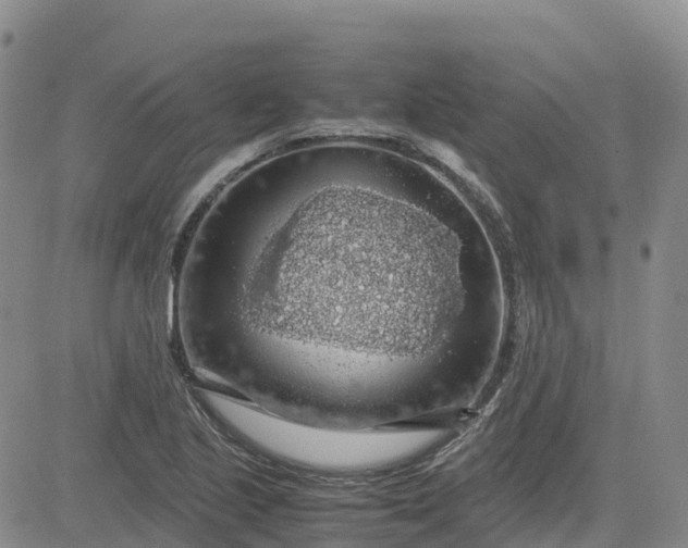 X0000083581221200702231647