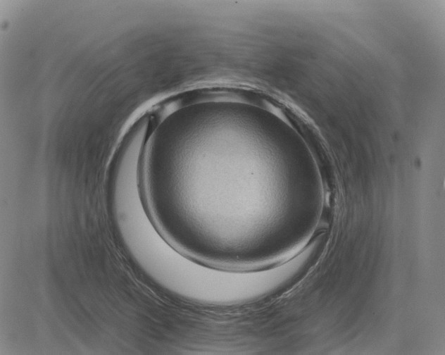 X0000083581222200702231647