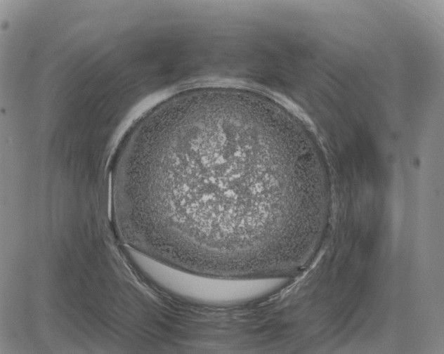 X0000083581223200702231647