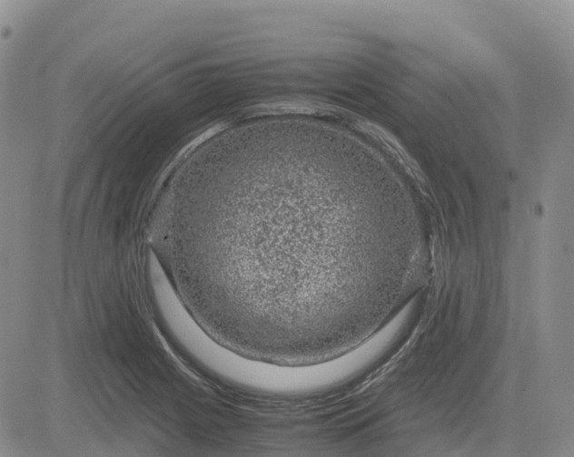 X0000083581225200702231647