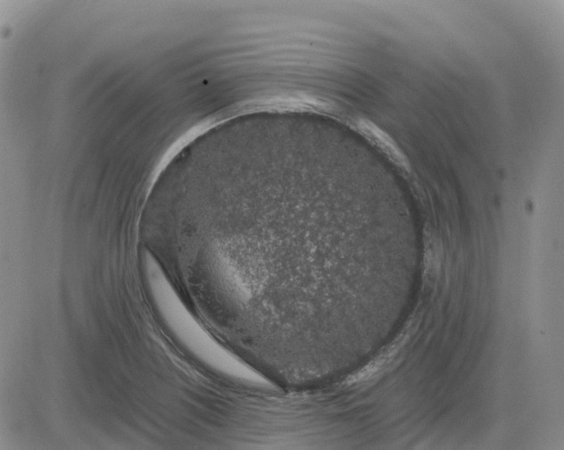 X0000083581226200702231647