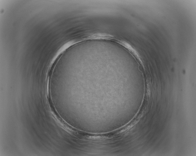 X0000083581227200702231647