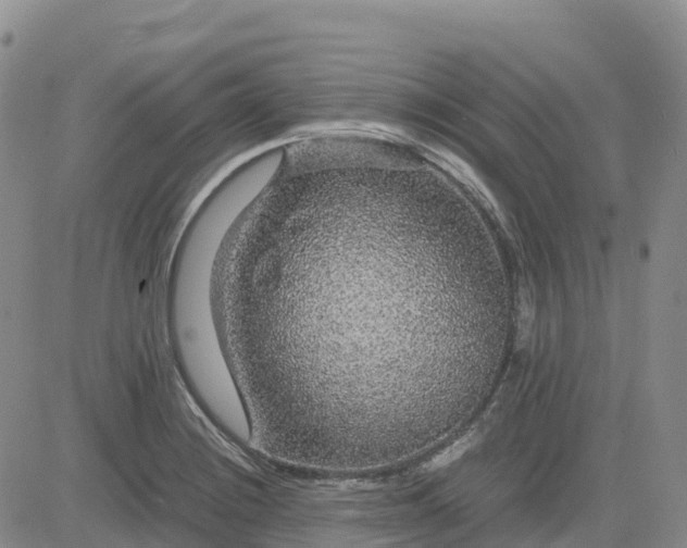 X0000083581228200702231647