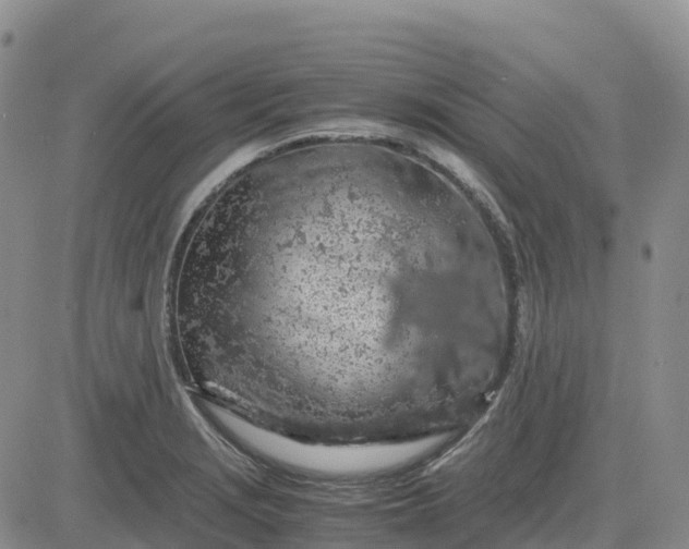 X0000083581229200702231647