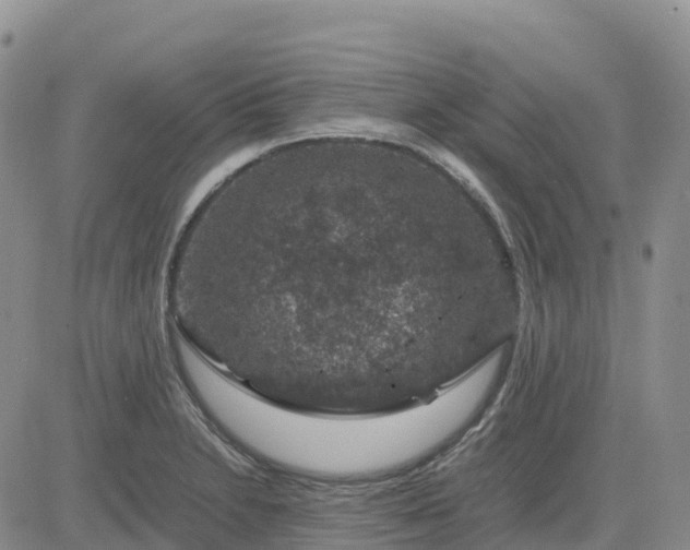 X0000083581230200702231647