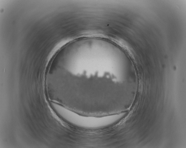 X0000083581231200702231647