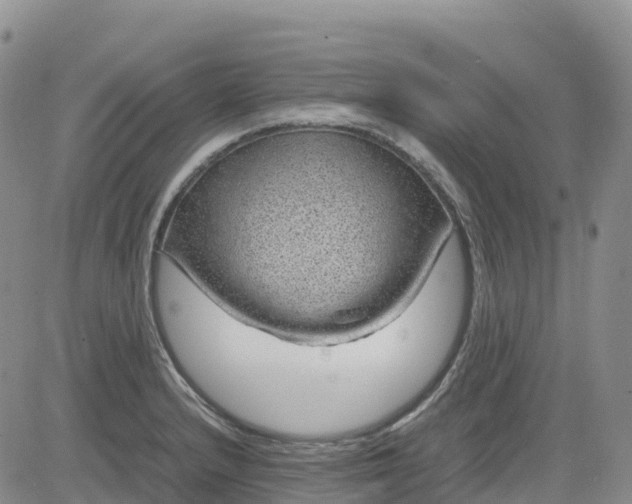 X0000083581232200702231647