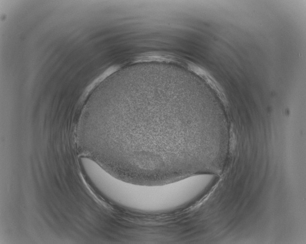 X0000083581233200702231647