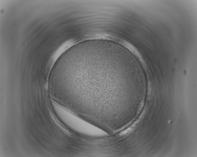 X0000083581234200702231647