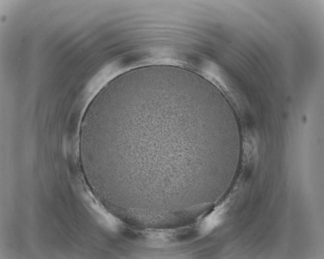 X0000083581236200702231647