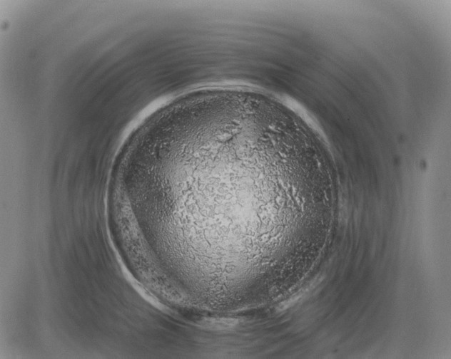 X0000083581237200702231647