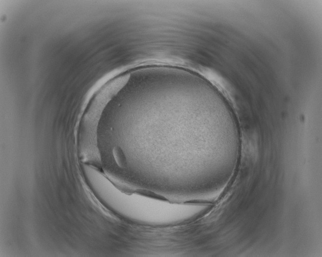 X0000083581238200702231647