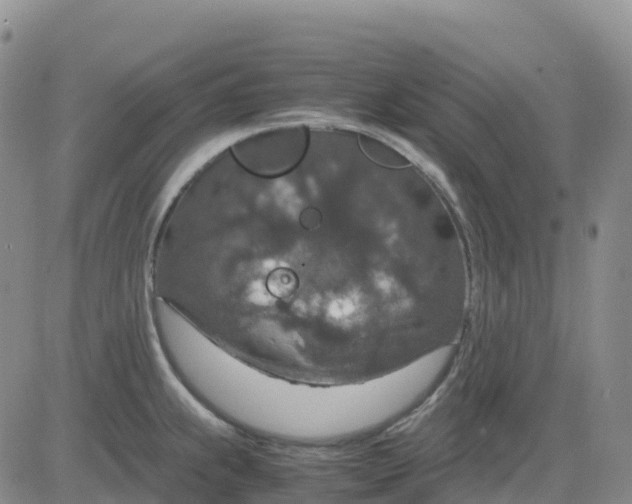 X0000083581239200702231647