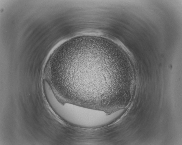 X0000083581240200702231647