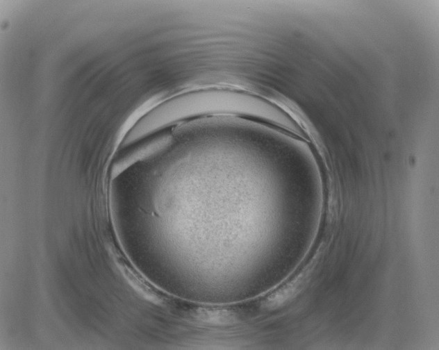 X0000083581242200702231647