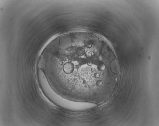 X0000083581243200702231647