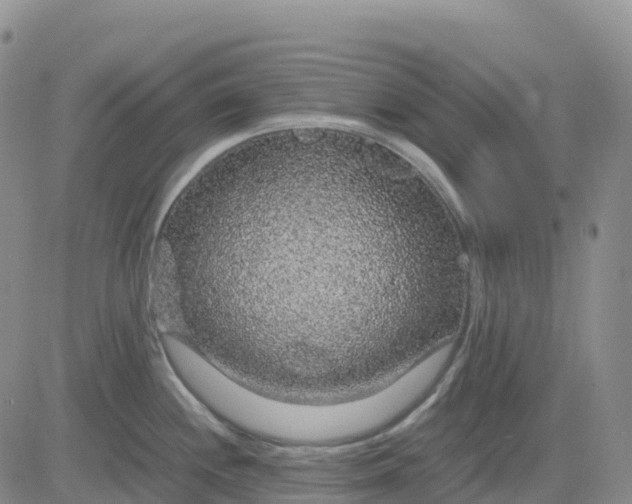 X0000083581244200702231647