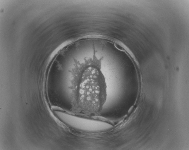 X0000083581245200702231647