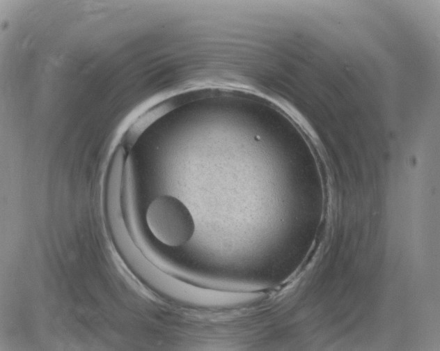 X0000083581246200702231647