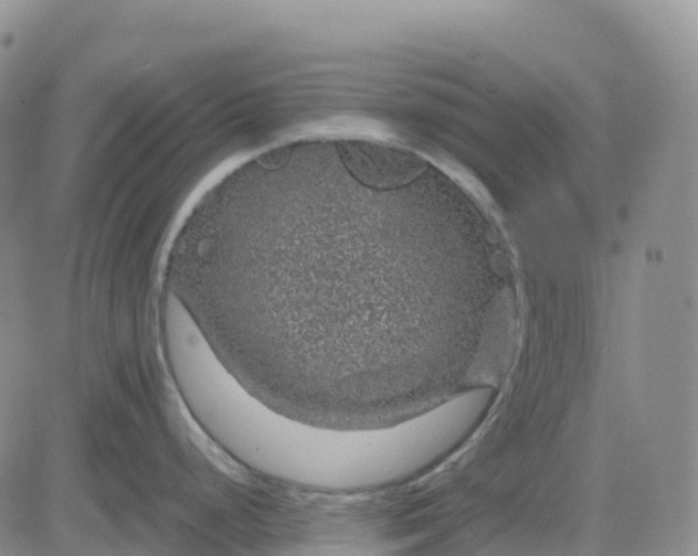 X0000083581248200702231647