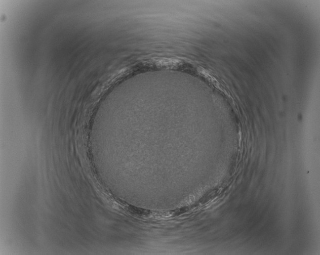 X0000083581249200702231646