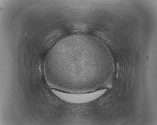 X0000083581250200702231646