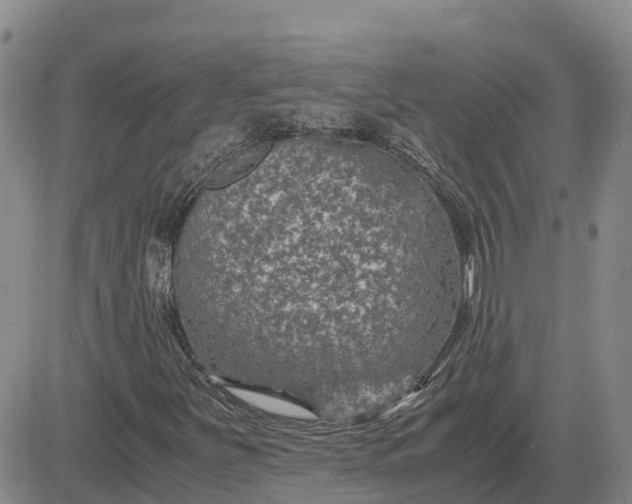 X0000083581251200702231646