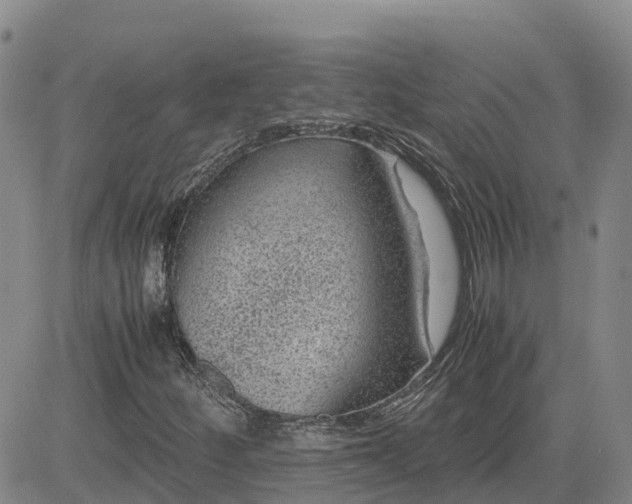 X0000083581252200702231646