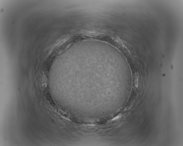 X0000083581253200702231646