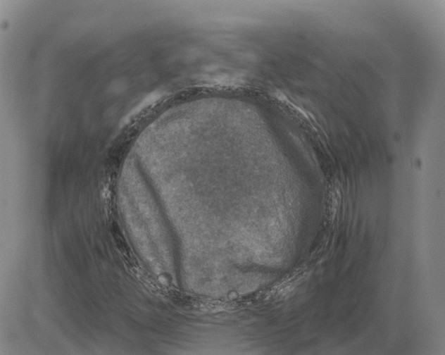 X0000083581254200702231646