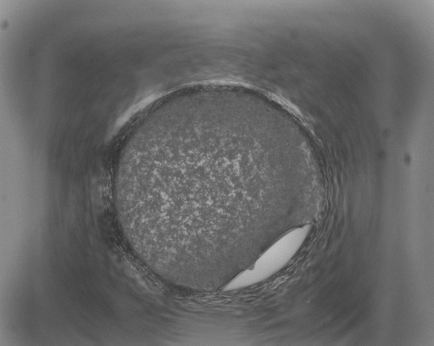 X0000083581255200702231646