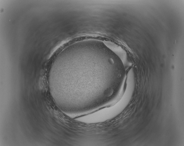 X0000083581256200702231646