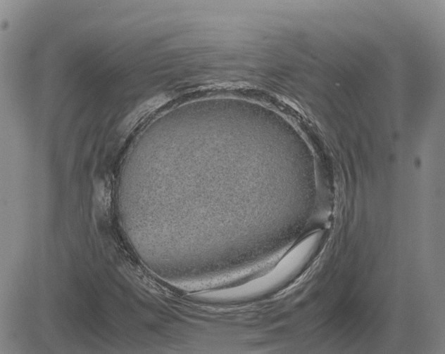 X0000083581257200702231646