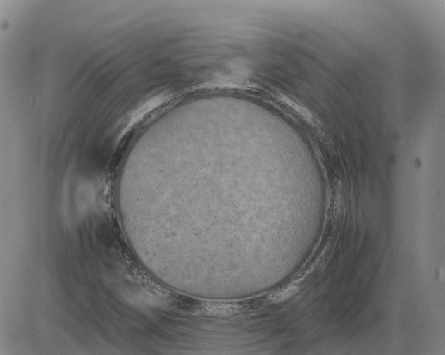 X0000083581258200702231646