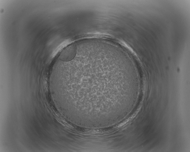 X0000083581259200702231646