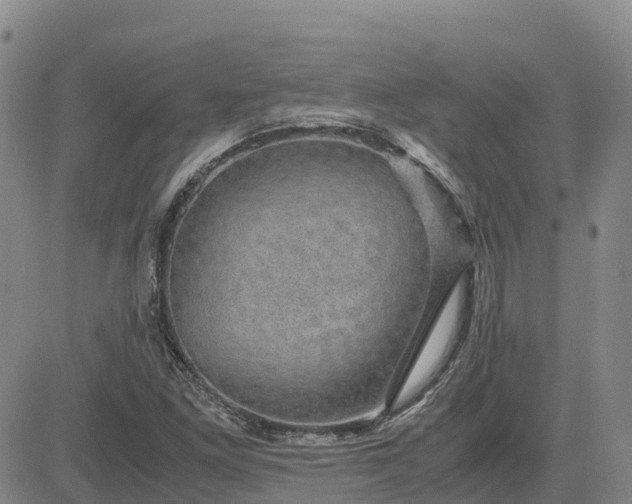 X0000083581261200702231646