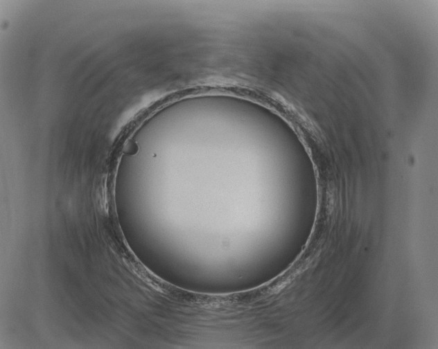 X0000083581262200702231646