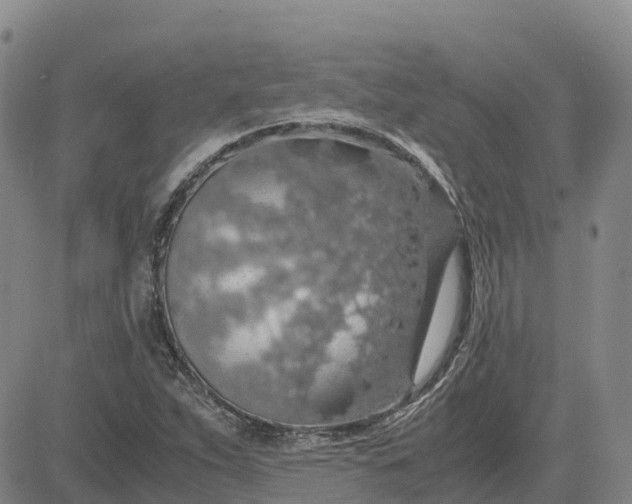 X0000083581263200702231646