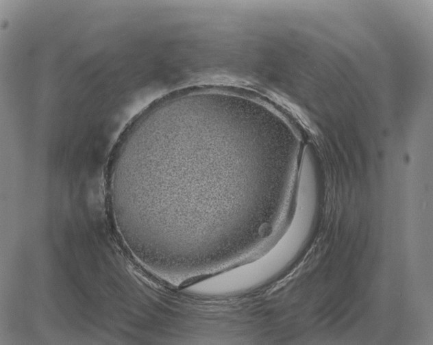 X0000083581264200702231646