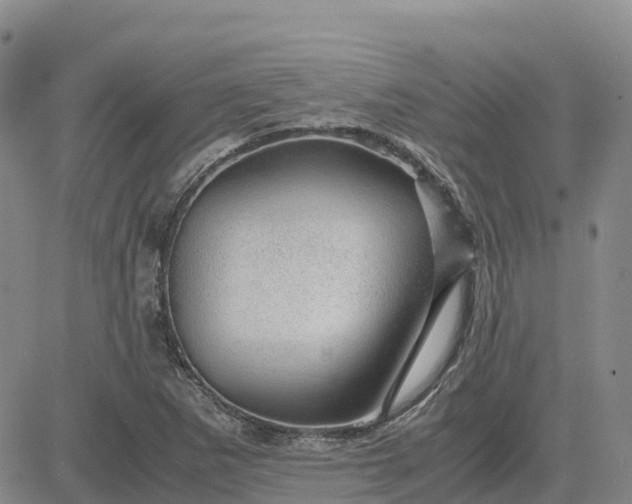 X0000083581265200702231646