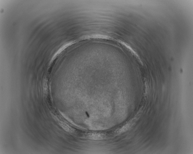 X0000083581266200702231646