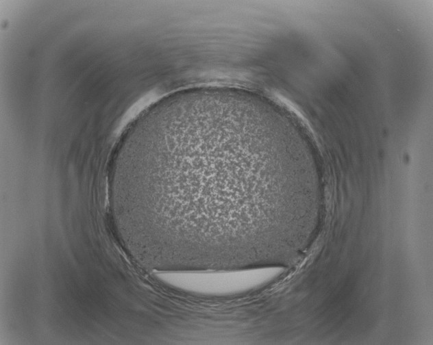 X0000083581267200702231646