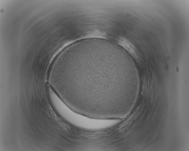 X0000083581268200702231646