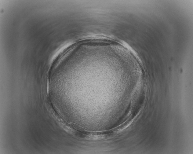 X0000083581269200702231646