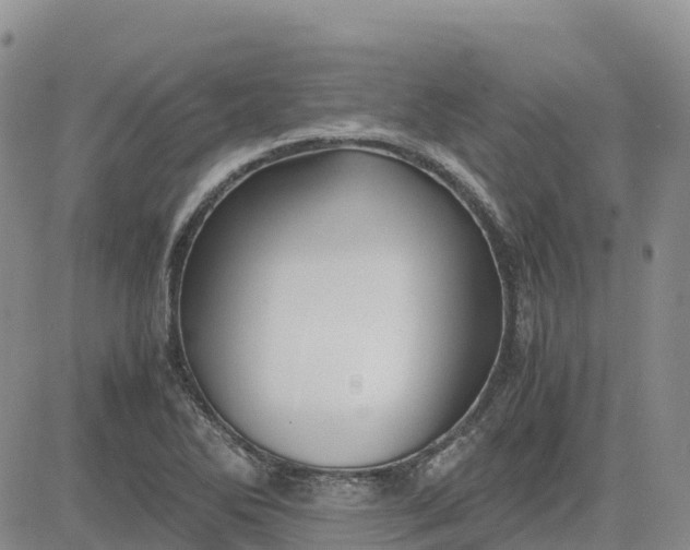 X0000083581270200702231646