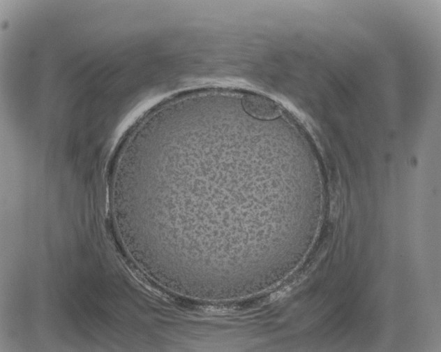 X0000083581271200702231646