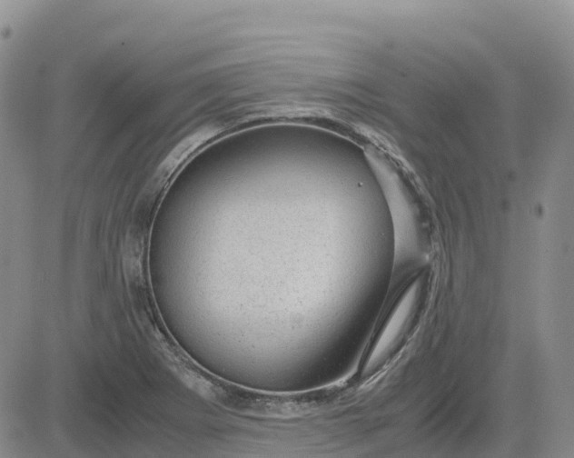 X0000083581273200702231646